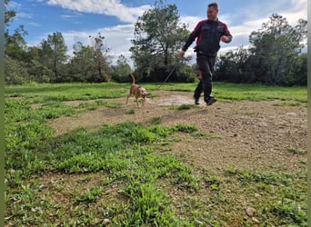 PUNI ist ein Sonnenschein