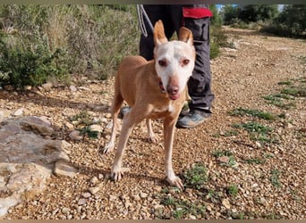 PUNI ist ein Sonnenschein