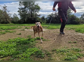 PUNI ist ein Sonnenschein