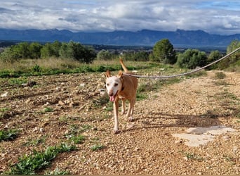 PUNI - ein Sonnenschein