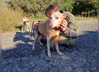 PUNI ist ein Sonnenschein