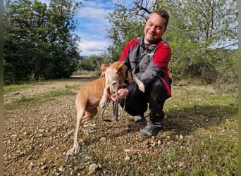 PUNI ist ein Sonnenschein