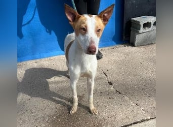 RAYOS der Menschen liebt