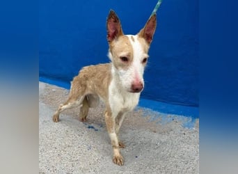 ATREU genießt sanfte Streicheleinheiten