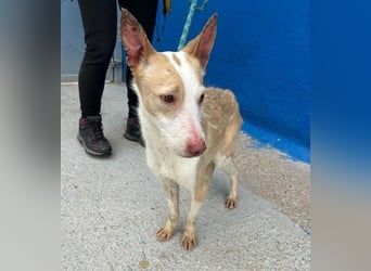 ATREU genießt sanfte Streicheleinheiten