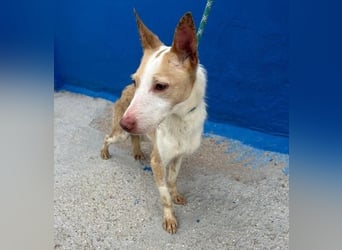 ATREU genießt sanfte Streicheleinheiten