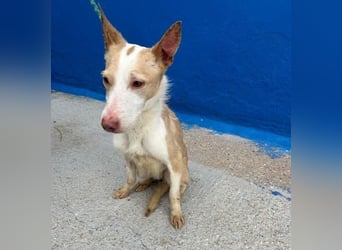 ATREU genießt sanfte Streicheleinheiten