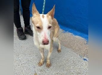 ATREU genießt sanfte Streicheleinheiten