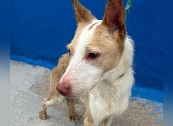 ATREU genießt sanfte Streicheleinheiten