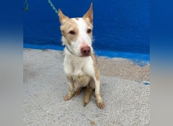 ATREU genießt sanfte Streicheleinheiten