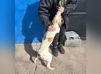 RAYOS der Menschen liebt