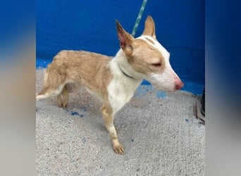 ATREU genießt sanfte Streicheleinheiten