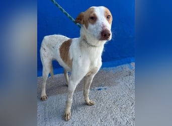 RAYOS der Menschen liebt