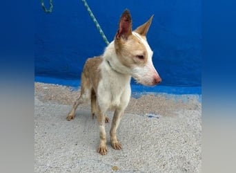 ATREU genießt sanfte Streicheleinheiten