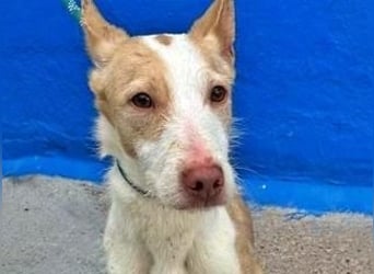 ATREU genießt sanfte Streicheleinheiten