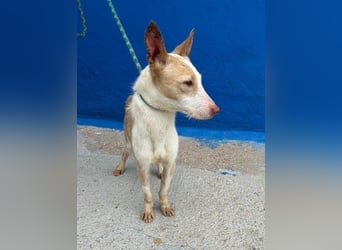 ATREU genießt sanfte Streicheleinheiten