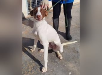 ❤️NESQUICK❤️