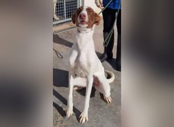 ❤️NESQUICK❤️