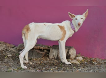 Wird Andie endlich gesehen?