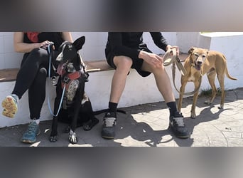 Goldschatz TILO möchte geliebt werden