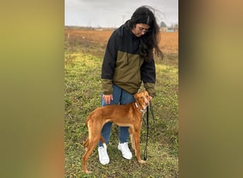 Manchuela - ein energiegeladenes Spaßpaket