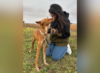 Manchuela - ein energiegeladenes Spaßpaket