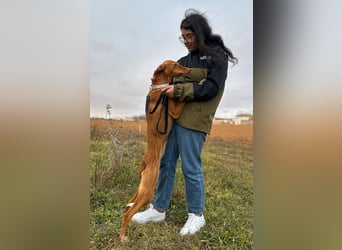 Manchuela - ein energiegeladenes Spaßpaket