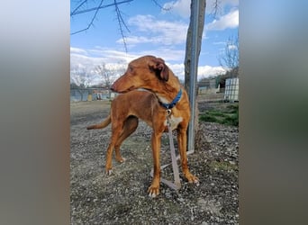 Kane, sehr menschenbezogen und sozial