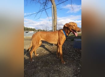 Kane, sehr menschenbezogen und sozial