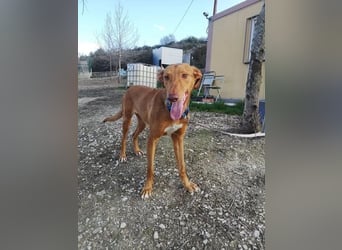 Kane, sehr menschenbezogen und sozial