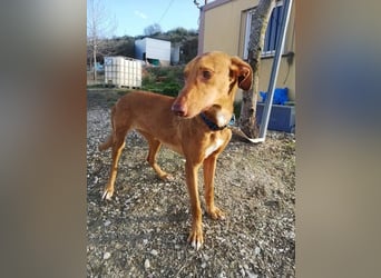 Kane, sehr menschenbezogen und sozial