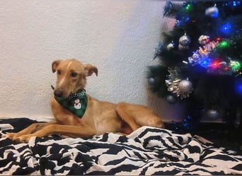 FRITZ sucht erfahrene, geduldige Menschen