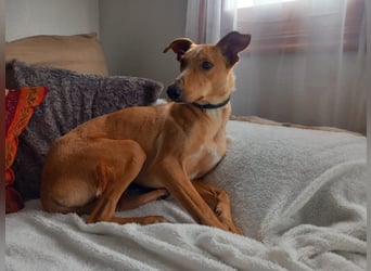 FRITZ oft angesehen doch nie eine Anfrage