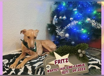 FRITZ sucht erfahrene, geduldige Menschen