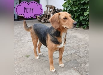 Petty ein absoluter Engel
