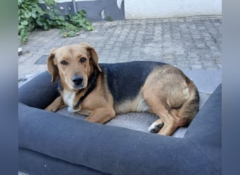 Petty ein absoluter Engel