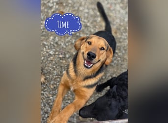 Time ein absoluter Familienhund