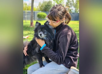 COCO ❤️ einfach ein Schatz, Pflegefamilie Bochum