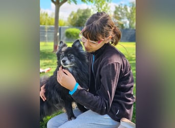 COCO ❤️ einfach ein Schatz, Pflegefamilie Bochum