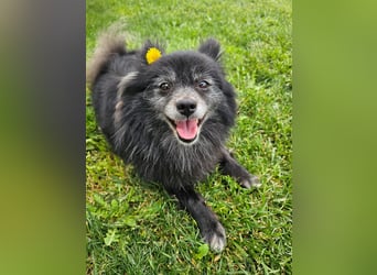 COCO ❤️ einfach ein Schatz, Pflegefamilie Bochum