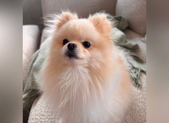 Bijou - ist gesprächig