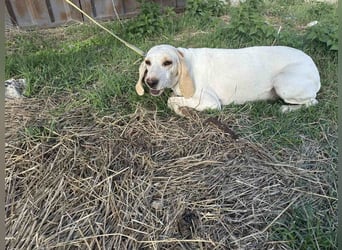 Fiona - eine leise Seele mit ganz großem Herz Fiona - eine leise Seele mit ganz großem Herz