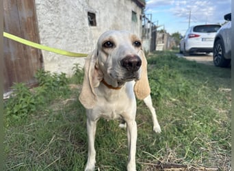 Fiona - eine leise Seele mit ganz großem Herz Fiona - eine leise Seele mit ganz großem Herz