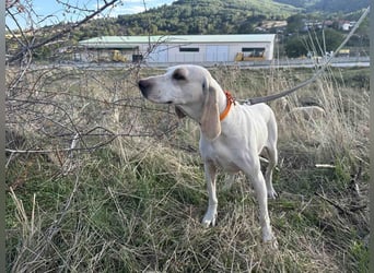 Fiona - eine leise Seele mit ganz großem Herz Fiona - eine leise Seele mit ganz großem Herz