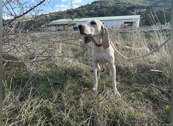 Fiona - eine leise Seele mit ganz großem Herz Fiona - eine leise Seele mit ganz großem Herz