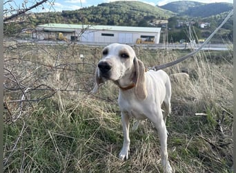 Fiona - eine leise Seele mit ganz großem Herz Fiona - eine leise Seele mit ganz großem Herz