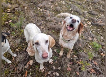 Alice – eine zarte Seele, die endlich ankommen möchte