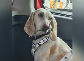 Alice – eine zarte Seele, die endlich ankommen möchte