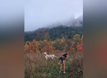 Alice – eine zarte Seele, die endlich ankommen möchte