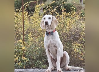 Alice – eine zarte Seele, die endlich ankommen möchte